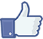 Bridlewood is now on Social networks